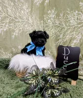 processed/3e1ab42e-4f89-40db-b2c8-16845c307f15/facility/8d455c45-566e-47e0-9591-a753c3a4c4ed