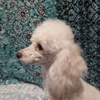 processed/3e1ab42e-4f89-40db-b2c8-16845c307f15/facility/9938fdc7-103b-4f96-a7fd-857af5f3c948