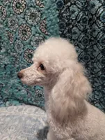 processed/3e1ab42e-4f89-40db-b2c8-16845c307f15/facility/9938fdc7-103b-4f96-a7fd-857af5f3c948