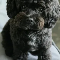 processed/3e1ab42e-4f89-40db-b2c8-16845c307f15/facility/a4ddcaff-a45f-4cae-a3c1-e61228edc3e9