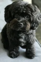 processed/3e1ab42e-4f89-40db-b2c8-16845c307f15/facility/a4ddcaff-a45f-4cae-a3c1-e61228edc3e9