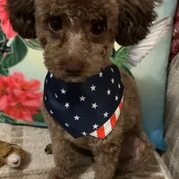 processed/3e1ab42e-4f89-40db-b2c8-16845c307f15/facility/ac260e52-e5a6-4751-bd2e-8d803c03ecd8