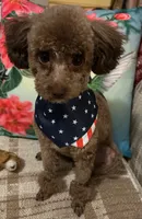 processed/3e1ab42e-4f89-40db-b2c8-16845c307f15/facility/ac260e52-e5a6-4751-bd2e-8d803c03ecd8