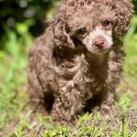 processed/3e1ab42e-4f89-40db-b2c8-16845c307f15/facility/b00c3e5a-e3d0-4d02-bcf8-caa2c0dd26ed