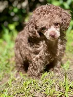 processed/3e1ab42e-4f89-40db-b2c8-16845c307f15/facility/b00c3e5a-e3d0-4d02-bcf8-caa2c0dd26ed