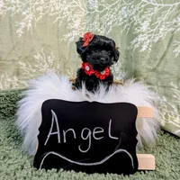 processed/3e1ab42e-4f89-40db-b2c8-16845c307f15/facility/b43484e4-9bc2-449b-ae02-d6d246c71f3e