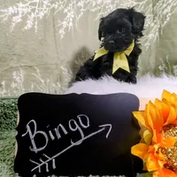 processed/3e1ab42e-4f89-40db-b2c8-16845c307f15/facility/e8de3b68-2ca3-4307-9189-ea3f34e63450