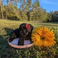 processed/3e1ab42e-4f89-40db-b2c8-16845c307f15/facility/f6e5912a-cc01-45e3-b776-7603a1453849