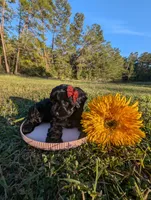 processed/3e1ab42e-4f89-40db-b2c8-16845c307f15/facility/f6e5912a-cc01-45e3-b776-7603a1453849