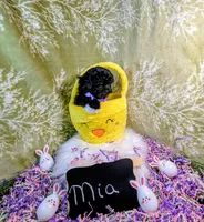 Mia/ Easter Special , a female Yorkipoo for sale in Ocala, FL – Photo 7 of 10