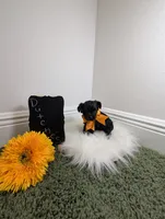 Dutches, a female Yorkipoo for sale in Ocala, FL – 6 of 6