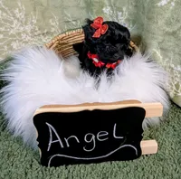 Angel, a female Yorkipoo for sale in Ocala, FL – Photo 6 of 8