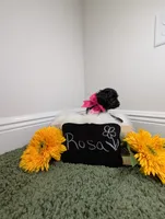 Rosa, a female Yorkipoo for sale in Ocala, FL – 3 of 4