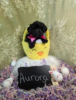 Aroura , a female Yorkipoo for sale in Ocala, FL – Photo 3 of 5