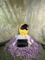 Aroura , a female Yorkipoo for sale in Ocala, FL – Photo 1 of 5