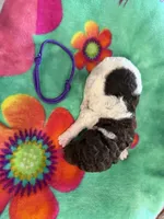 Ryker, a male Poodle - Standard  for sale in Hendersonville, TN – Photo 2 of 2