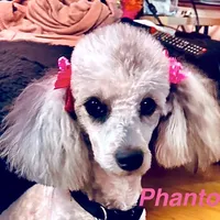 processed/3e26f3a8-e56d-48c1-bacc-2bb1e214c920/facility/04b18f63-03f5-4065-ae9f-1e438c9fba6f