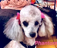 processed/3e26f3a8-e56d-48c1-bacc-2bb1e214c920/facility/04b18f63-03f5-4065-ae9f-1e438c9fba6f