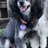 processed/3e26f3a8-e56d-48c1-bacc-2bb1e214c920/facility/60592a91-86b9-4177-8a9e-e24ea893398d