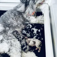 processed/3e26f3a8-e56d-48c1-bacc-2bb1e214c920/facility/71016301-ea29-4458-bd77-ba6b10670e69