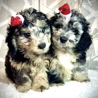 processed/3e26f3a8-e56d-48c1-bacc-2bb1e214c920/facility/7e593a36-b1cd-42e9-a31e-9a104e937163