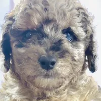 processed/3e26f3a8-e56d-48c1-bacc-2bb1e214c920/facility/d04ab2d6-1b11-4728-9c18-f037035c5c5a