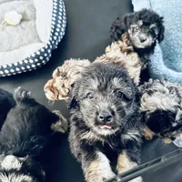 processed/3e26f3a8-e56d-48c1-bacc-2bb1e214c920/facility/e8a9e794-f524-430a-8694-98021555a2b7