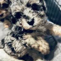 processed/3e26f3a8-e56d-48c1-bacc-2bb1e214c920/facility/ea31cc0e-4aa8-4d25-a2f4-b6cadc82089d