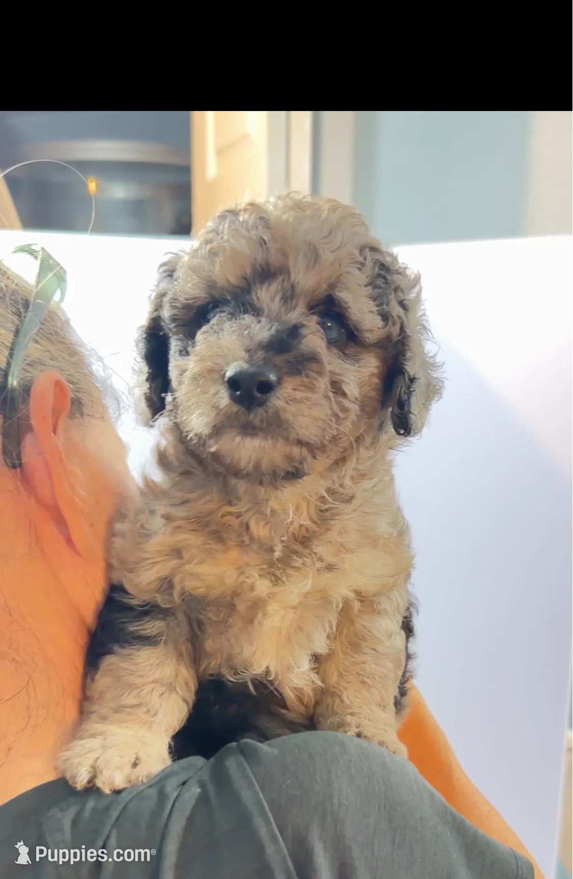 processed/3e26f3a8-e56d-48c1-bacc-2bb1e214c920/listing/9ae4d149-989f-4af4-a974-3db049cc3ae2/28fd3426-f09b-404a-9a57-5d19cce4eb76