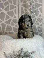 processed/3e26f3a8-e56d-48c1-bacc-2bb1e214c920/listing/a95c52b1-adba-44a7-8460-2cafe2eded82/33945998-8698-4ec4-85df-d3d2d2e57e55