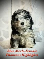 processed/3e26f3a8-e56d-48c1-bacc-2bb1e214c920/listing/a95c52b1-adba-44a7-8460-2cafe2eded82/60124f4b-7756-4b2d-8132-ea63417e8dff