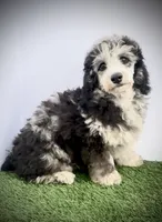 processed/3e26f3a8-e56d-48c1-bacc-2bb1e214c920/listing/a95c52b1-adba-44a7-8460-2cafe2eded82/afd30619-39f6-4717-a1aa-c69be4bf35e7