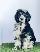 processed/3e26f3a8-e56d-48c1-bacc-2bb1e214c920/listing/e2dee6a7-c7c0-4599-8d03-ed3e234e8457/0904f879-3b17-4eb3-9e5d-72adf317d767