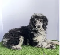 processed/3e26f3a8-e56d-48c1-bacc-2bb1e214c920/listing/e2dee6a7-c7c0-4599-8d03-ed3e234e8457/1b2ab974-9655-4d1d-8caa-8565261c90a3