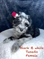 processed/3e26f3a8-e56d-48c1-bacc-2bb1e214c920/listing/e2dee6a7-c7c0-4599-8d03-ed3e234e8457/85c8b972-c7bd-4cb2-bd78-b5ea46d9743c