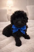 processed/3e2a18da-4cb8-4ba1-b280-bc1302c91d9e/listing/d203f498-8128-4753-ba8b-b94ab59a3352/30f4f781-a96b-47d2-977d-73ad527e529e