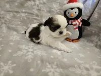 processed/3e2a965c-b266-4b9d-a3bf-5f0de117c853/listing/2f4ec732-1a47-4a20-9173-14076756b4a7/2e52bdde-c7fe-459b-90a5-154b3374de09