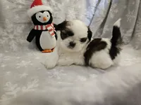 processed/3e2a965c-b266-4b9d-a3bf-5f0de117c853/listing/2f4ec732-1a47-4a20-9173-14076756b4a7/ab06ea81-347a-4429-b2ad-5c9ceae08d61