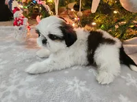 processed/3e2a965c-b266-4b9d-a3bf-5f0de117c853/listing/2f4ec732-1a47-4a20-9173-14076756b4a7/b24012af-dec9-4ac8-8f0a-fb55cfaa27cd