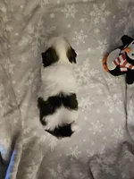 processed/3e2a965c-b266-4b9d-a3bf-5f0de117c853/listing/2f4ec732-1a47-4a20-9173-14076756b4a7/d9f2debd-4eea-4d14-bd38-eb27dc11e53d