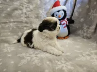 processed/3e2a965c-b266-4b9d-a3bf-5f0de117c853/listing/2f4ec732-1a47-4a20-9173-14076756b4a7/ff6152f2-c94d-4a09-9c5a-76d48878e3b5