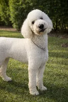 processed/3e2f5488-f875-4116-9ffe-d3e8f8d7c136/listing/1aa5cfdc-e270-45fd-8d7b-165b10123ad1/88bfd578-37ae-4314-89ad-362279a1d60d