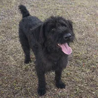 processed/3e2f5488-f875-4116-9ffe-d3e8f8d7c136/listing/90aa55b7-5a82-4c0a-a296-0eacb14e7818/9465ae7d-dd98-4e21-8754-2a03640a14d0