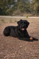 processed/3e2f5488-f875-4116-9ffe-d3e8f8d7c136/listing/90aa55b7-5a82-4c0a-a296-0eacb14e7818/bc6d1a48-1e35-45dc-acdd-b84fc2da8cc5