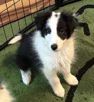 processed/3e2f76fe-5769-45ac-a75e-61490bedc77a/listing/cfec3218-afee-491f-bc56-ea0d5f092bca/08d8ca0d-428e-485a-aee1-c4e67795634f