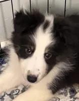 processed/3e2f76fe-5769-45ac-a75e-61490bedc77a/listing/cfec3218-afee-491f-bc56-ea0d5f092bca/32b0f7f0-74db-4253-b412-4aab708c7628