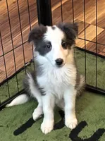 processed/3e2f76fe-5769-45ac-a75e-61490bedc77a/listing/cfec3218-afee-491f-bc56-ea0d5f092bca/50397625-12c5-4d1e-97e7-ee244113dc8f