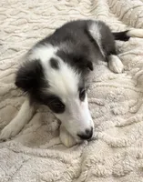 processed/3e2f76fe-5769-45ac-a75e-61490bedc77a/listing/cfec3218-afee-491f-bc56-ea0d5f092bca/670fb177-4c02-47eb-891b-847a03837985