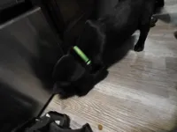 processed/3e322345-39fa-465c-a824-82190542edff/listing/021098a2-09a3-4809-b4e7-0cbaab25314f/58ba87ad-8d07-49f0-8006-15b6be38dd60