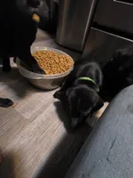 processed/3e322345-39fa-465c-a824-82190542edff/listing/021098a2-09a3-4809-b4e7-0cbaab25314f/ab7acb75-82cb-4e2f-83a5-6a59ede396d5